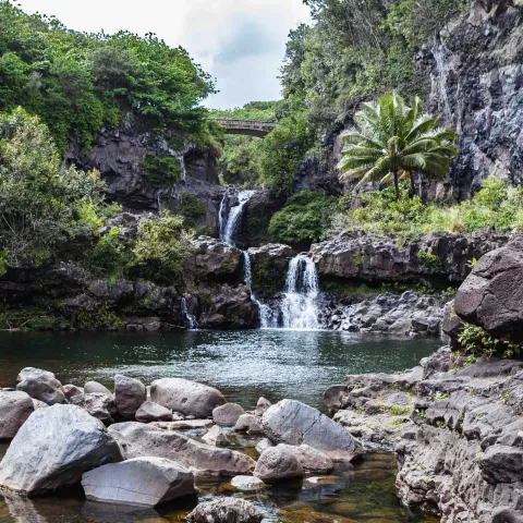 Highway to Hana bridge with waterfall tropical flora and fauna