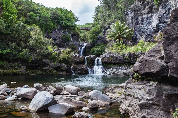 Highway to Hana bridge with waterfall tropical flora and fauna