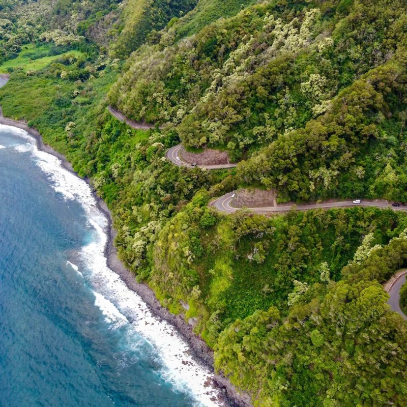 a close up of a hillside next to a river