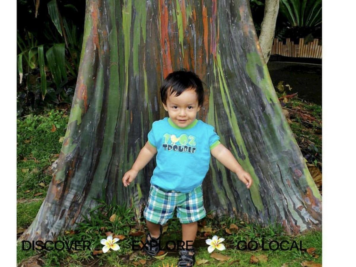 a little girl standing next to a tree