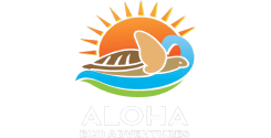 Aloha Eco Adventures logo