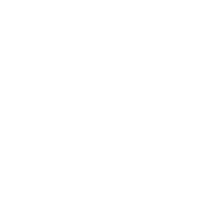 flower (1) 1 flower (1) 1