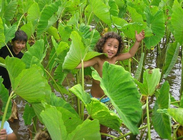 img16-583×445 img16-583×445