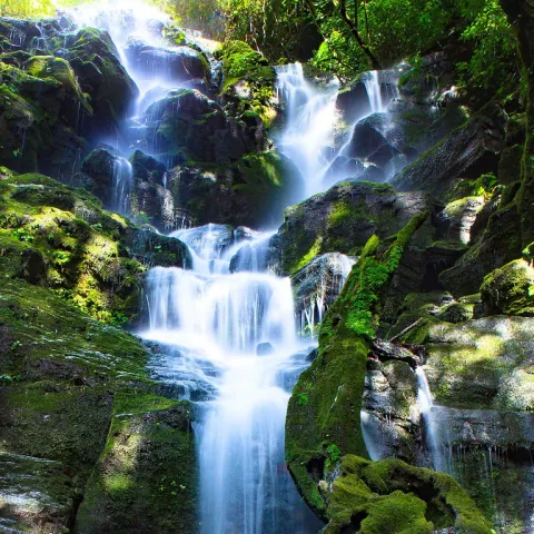 waterfall green moss Highway to Hana maui