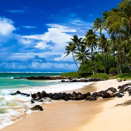 a sandy beach next to a body of water
