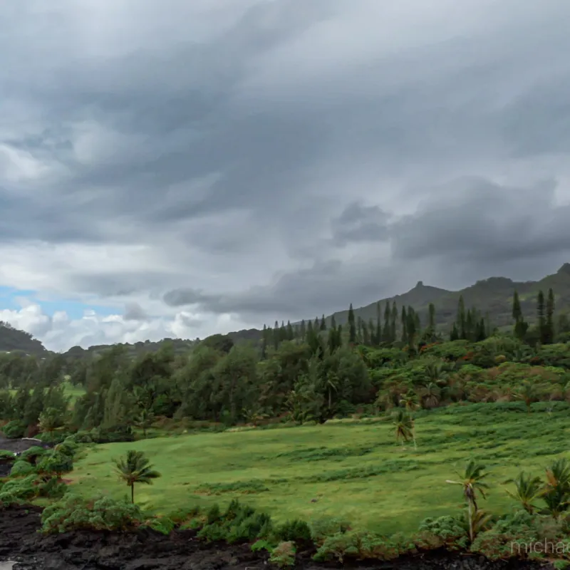 tropical landscape Road to Hana