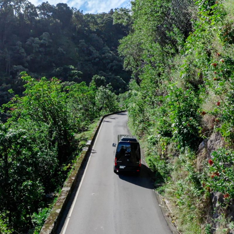 a train traveling down train tracks near a forest