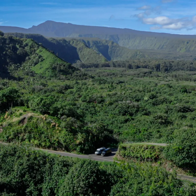 a large green field with a mountain in the background
