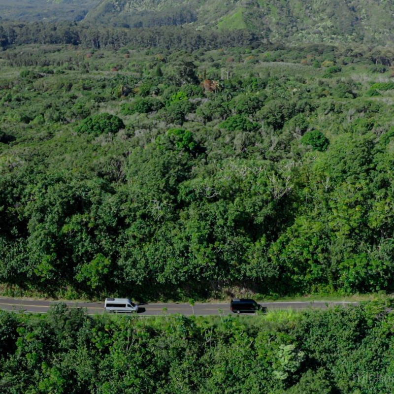 a large green field with a mountain in the background