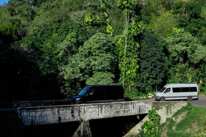 a train traveling down train tracks near a forest