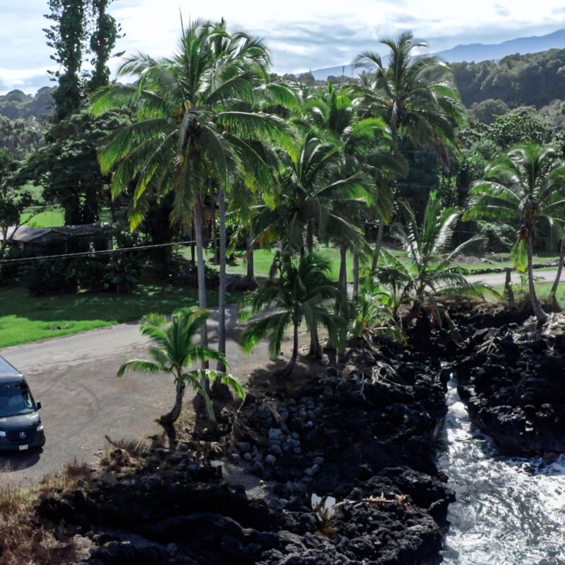 a car parked in front of a palm tree