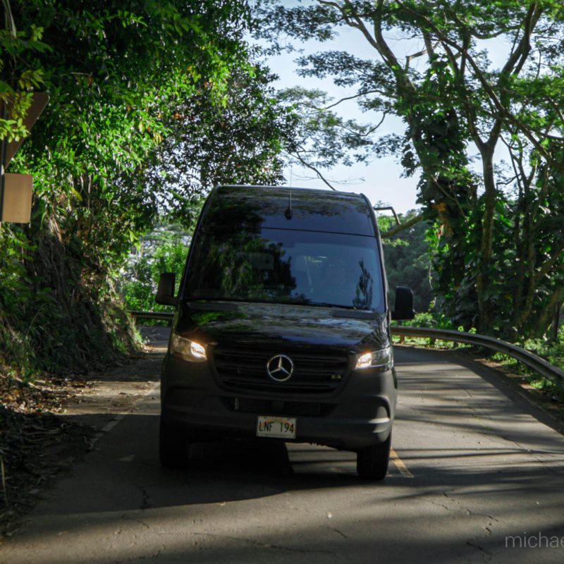 a car driving down a street near a forest