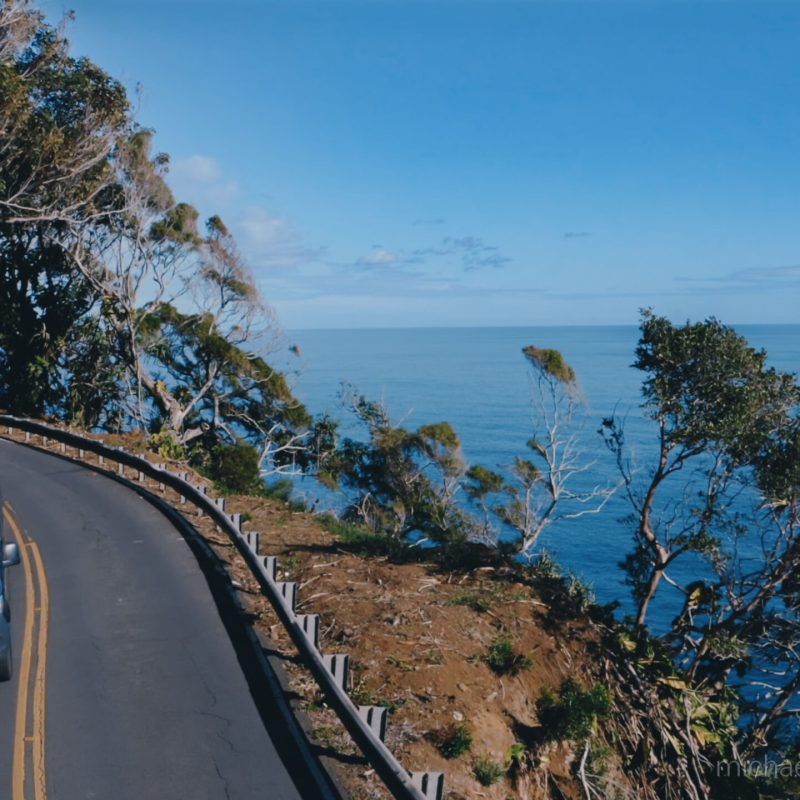 Mercedes van Road to Hana Pacific Ocean