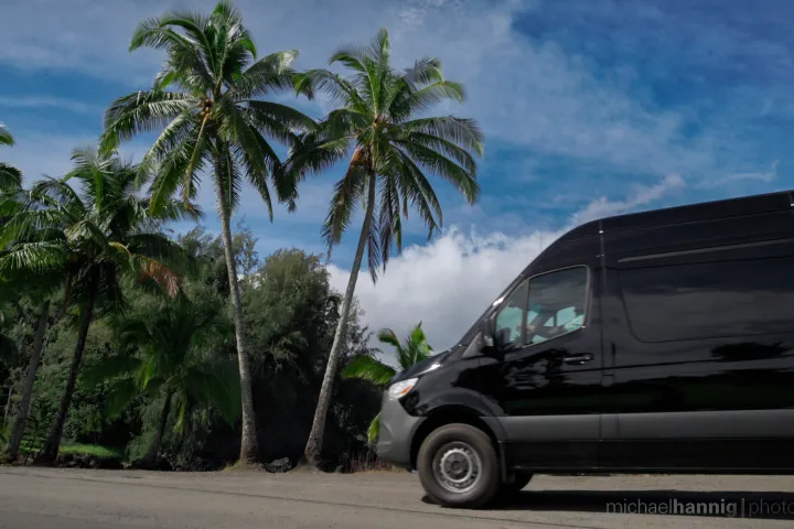 Mercedes van Aloha Eco Adventures Palm tree Peninsula Keanae