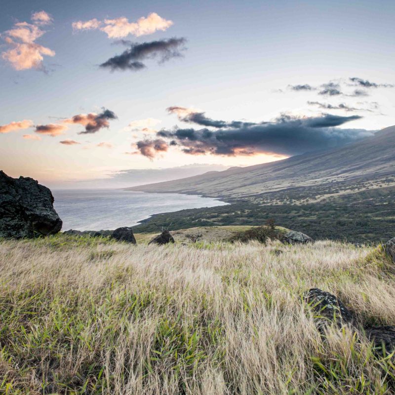 a group of people walking on a grassy hill