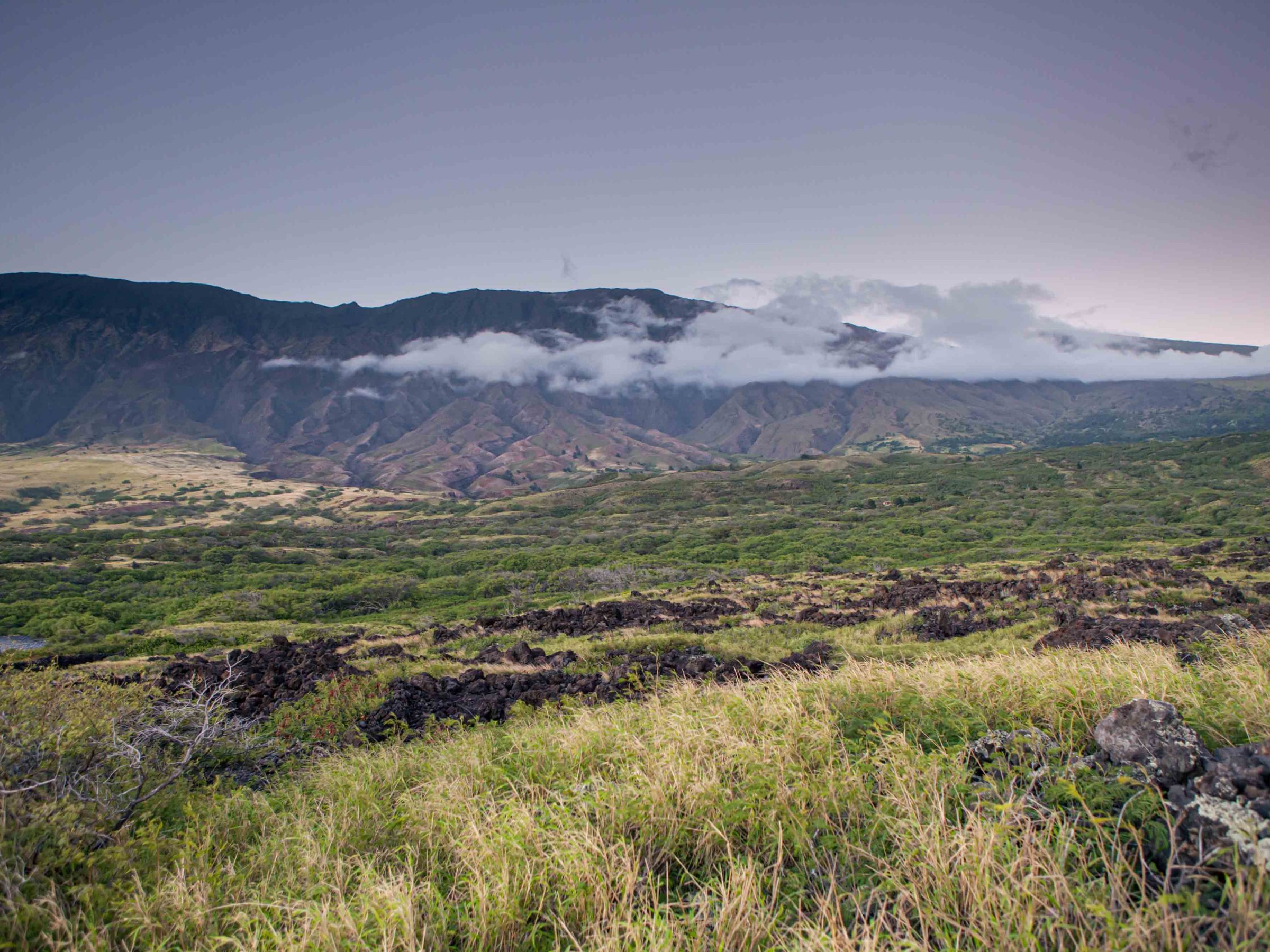 a field with a mountain in the background