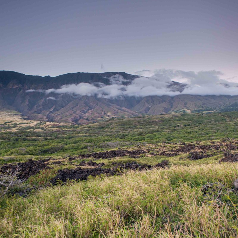 a field with a mountain in the background