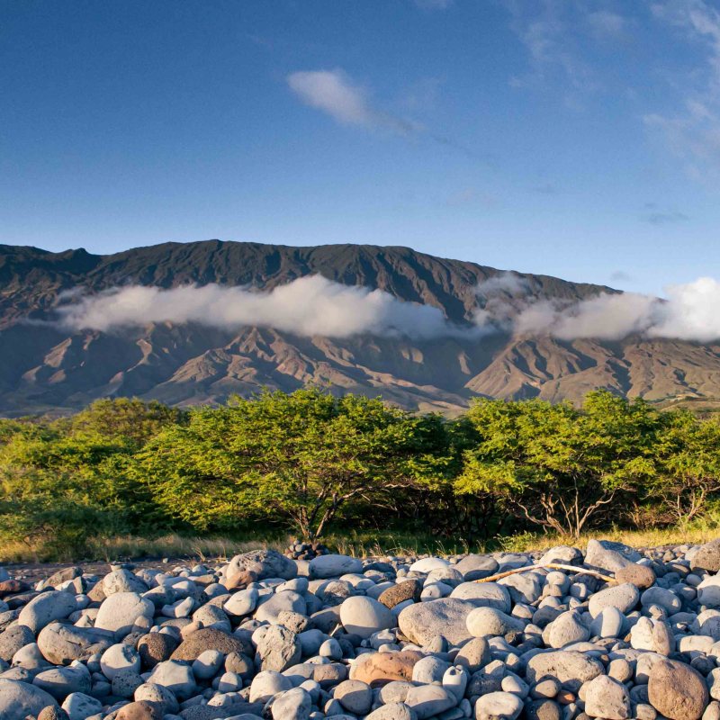 a herd of sheep standing on top of a mountain