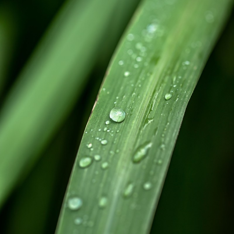 a close up of a green knife
