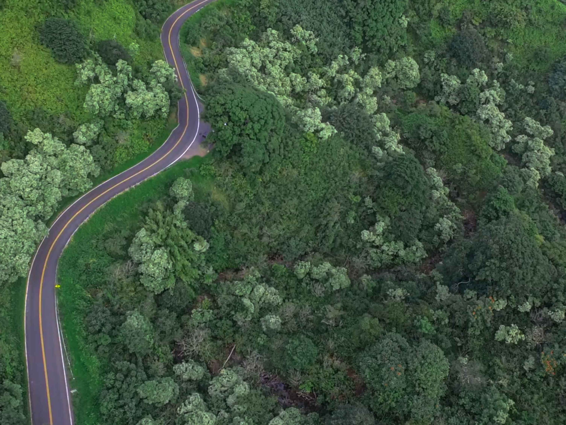 a train on a train track with trees in the background