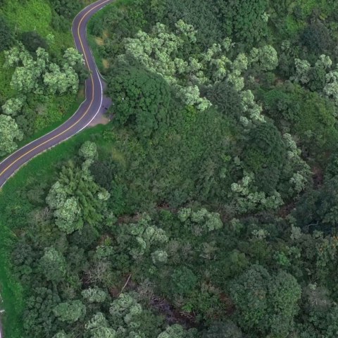 a train on a train track with trees in the background