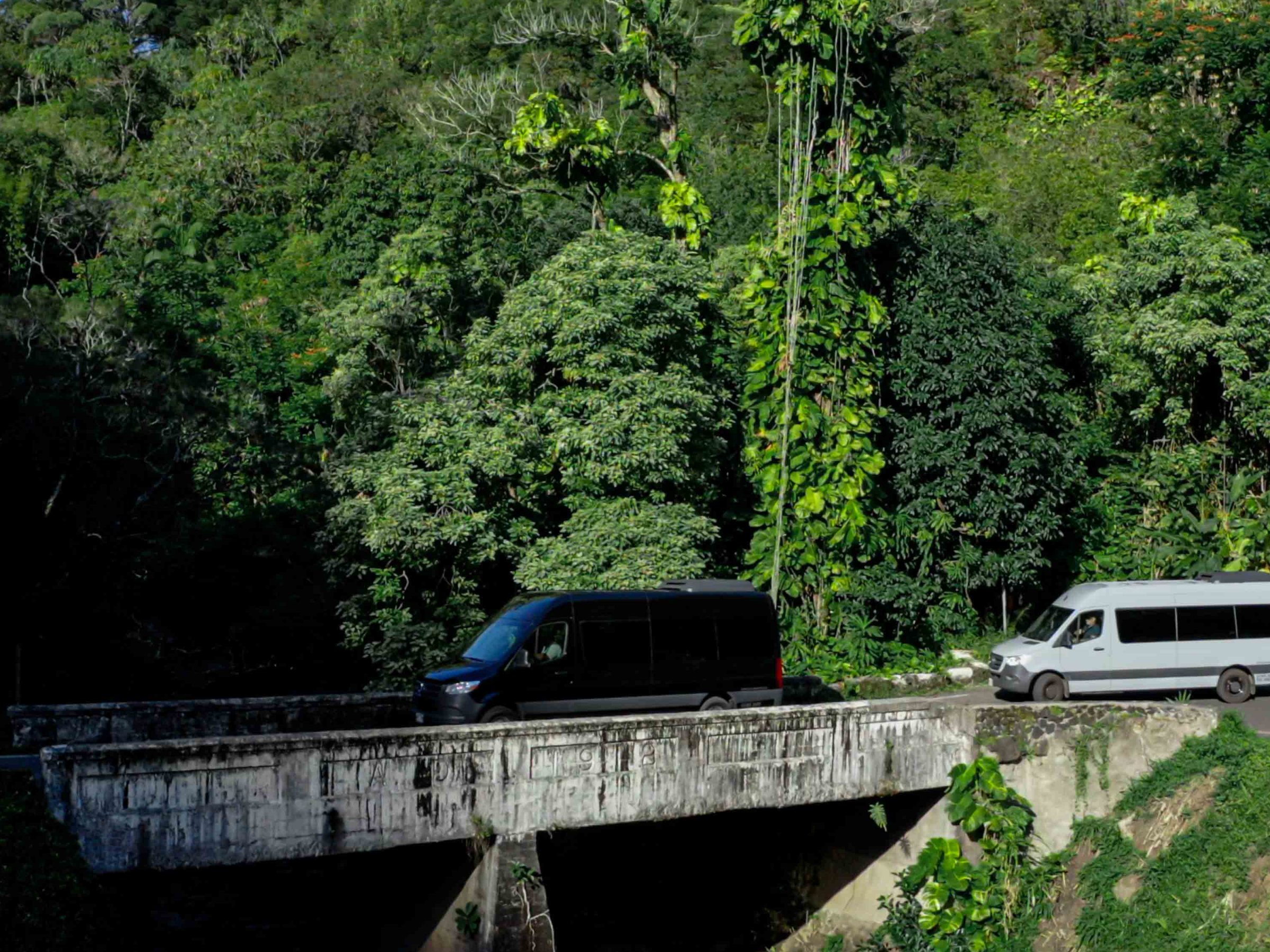 a train traveling down train tracks near a forest