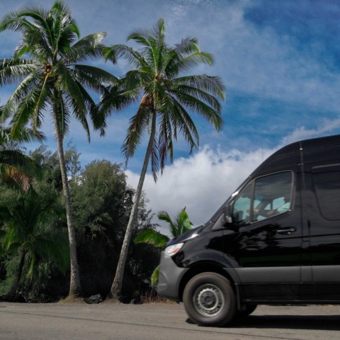 Mercedes van Aloha Eco Adventures Palm tree Peninsula Keanae