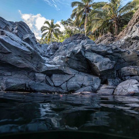 a close up of a rock