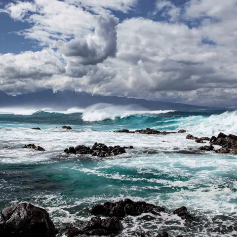 Pacific Ocean Waves Hookipa Beach Park Sea Turtles Surfers