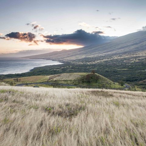 Coastal landscape with grassy field, winding road, and mountains at sunrise or sunset, under a partly cloudy sky.