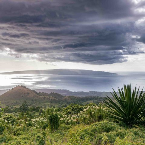 Scenic view of lush greenery and distant ocean with cloudy sky overhead.