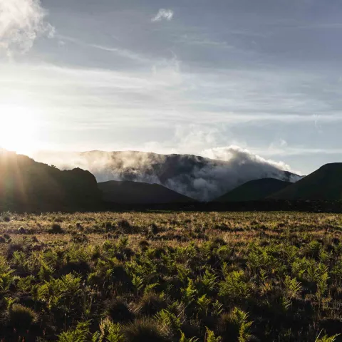 Sunset over mountainous landscape with grassy foreground and clouds.