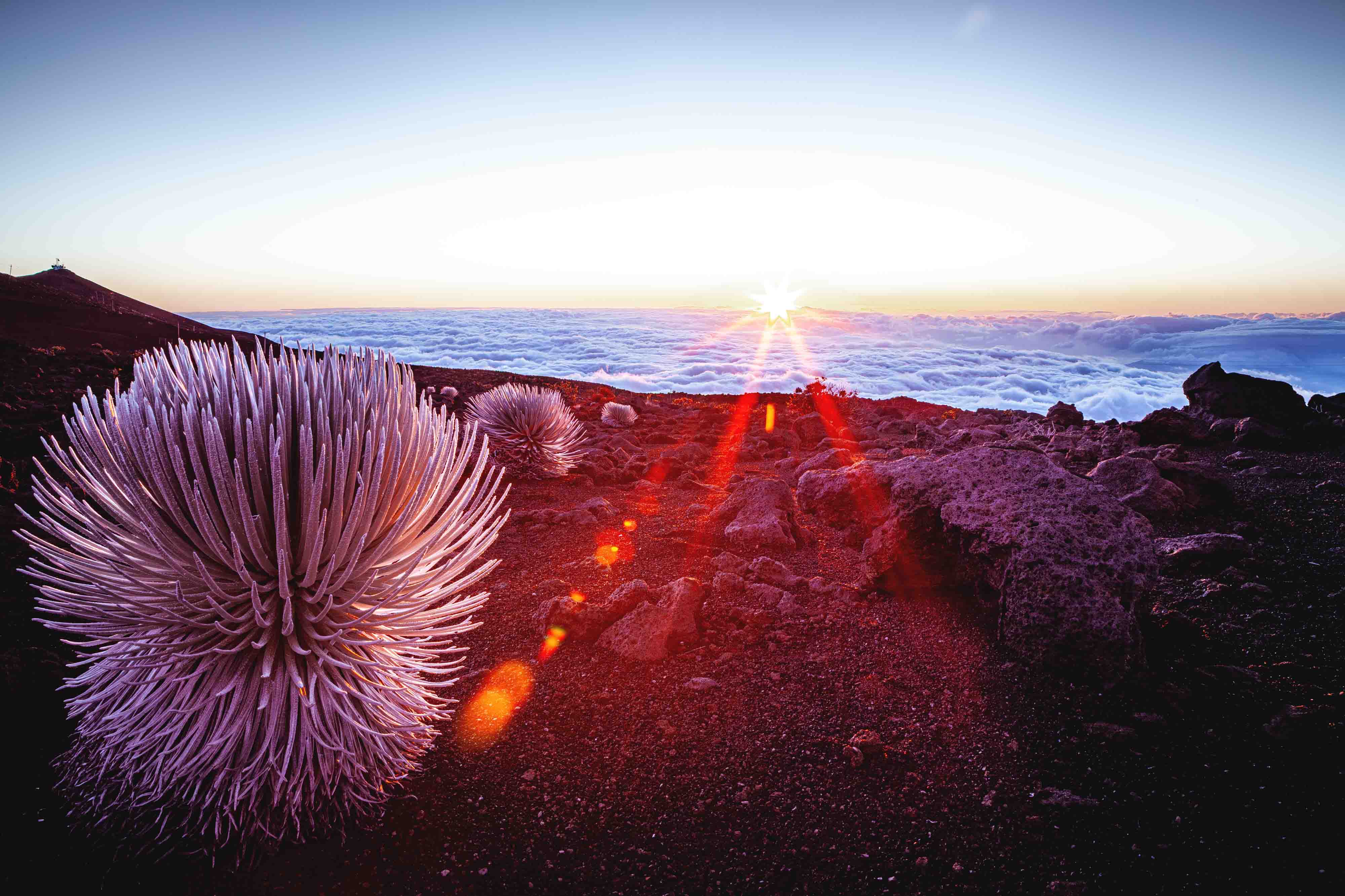 Haleakala & Ocean Vodka Sunset Tour | Aloha Eco Adventures